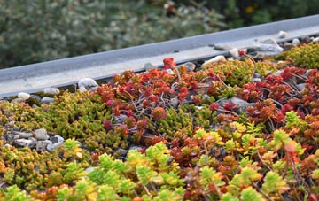 the cost of Locks Heath green roof installation