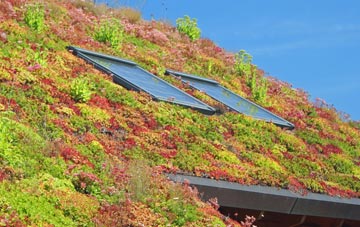 Locks Heath living roof systems