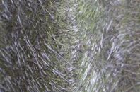 Locks Heath fibreglass roof work